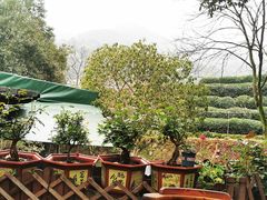 -龙井壹号·茶缘山景宴(龙井村店)