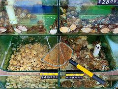 -四海鲜渔家菜(黄金海岸店)