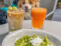 -Wagas沃歌斯(大学路店)