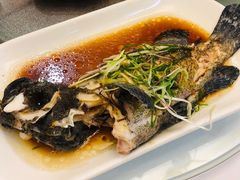 -勝記酒家·37年老字号·经典粤菜(荔枝公园店)