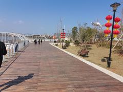 -九龙湖公园
