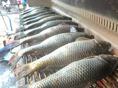 -杨合林啊兰烤鱼