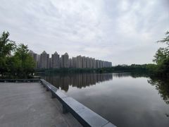 -成都南湖公园
