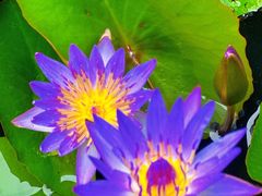 -聚福宝合苑食府(南头镇店)