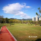 杨柳依依频点头，鸟语花香媚眼柔