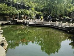 -趵突泉景区