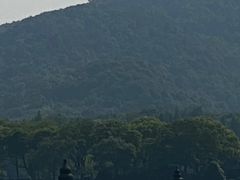 -西湖游船