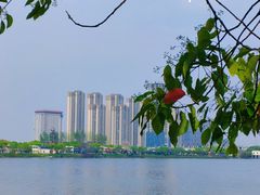 -艾溪湖湿地公园