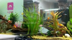 android_upload_pic-小左美发