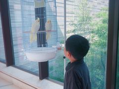 -上海崇明金茂凯悦酒店