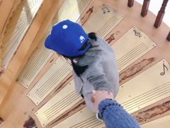 -鼓浪屿钢琴博物馆