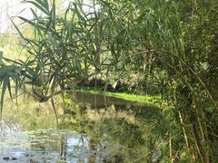 -烟水渔庄餐厅(西溪湿地店)