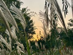 -济南植物园