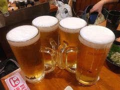 生啤-三月居酒屋(青年大街店)