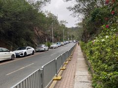 -梧桐山风景名胜区