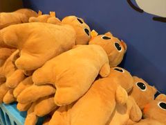 -海茵汇(萧山店)