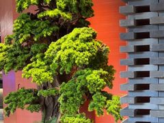 -阿伟海鲜楼·福建菜(延寿店)