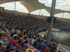 -秦皇岛乐岛海洋王国