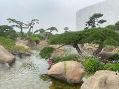 -罗红摄影艺术馆