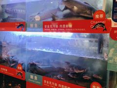 -三江源活鱼现烤(维多利摩尔城店)