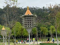 -顺峰山公园