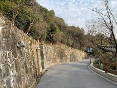 -杭州半山国家森林公园