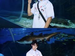 -海合安武汉极地海洋公园