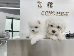 -宫铭烫发染发接发店