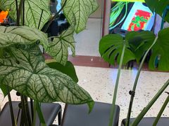 -南拳十三姨·潮汕砂锅粥·粤菜(西单大悦城店)