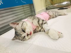 -美迦爱-牙专科·兔科·骨科诊疗中心(北苑店)
