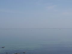 -海岛日记(养马岛店)