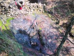 -宁波市保国寺古建筑博物馆