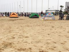 -碧海金沙