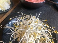 -渝涯重庆豆花老火锅(中赢国际店)