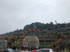 -枇杷园食为鲜火锅(南山店)