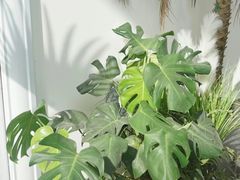 -荣和·中央公园