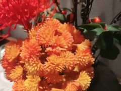 -百富源·海鲜辽菜(和平北大街店)