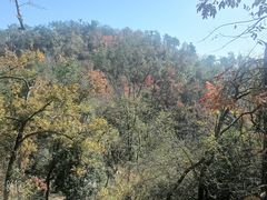 -青龙山国家森林公园