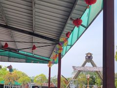 -上海海湾国家森林公园