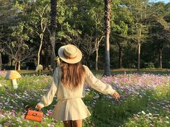 -田野绿世界