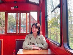 -合肥滨湖国家森林公园