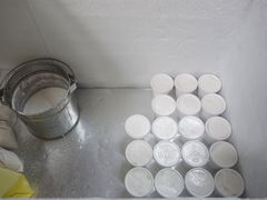 椰子雪糕-洪馨椰子
