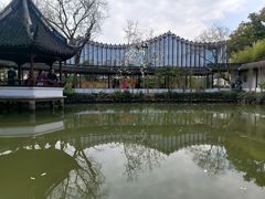-上海醉白池公园