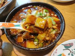 米凉粉烧牛肉-蜀宴小调·精致家常菜(科华店)
