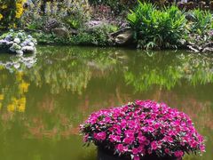 -深圳仙湖植物园