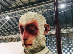 -东浩兰生上海世博展览馆