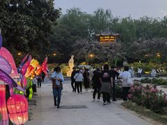 -洛阳市隋唐城遗址植物园