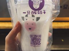 -一只酸奶牛(八一路店)