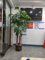 -资医堂·除疤祛痘祛斑