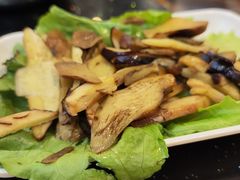 -草墩罗非鱼庄•野生菌•腊排骨(七星街上段店)